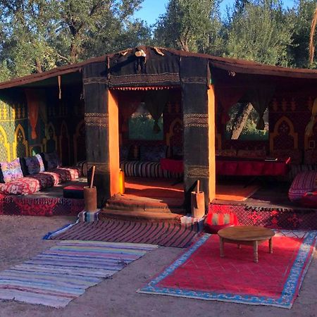 Eco-Ferme Tamalait Skoura Hotel Bagian luar foto