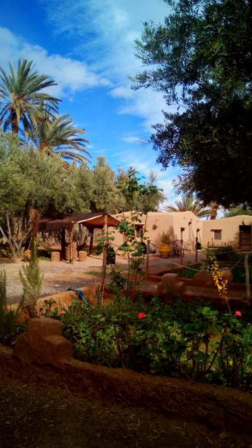 Eco-Ferme Tamalait Skoura Hotel Bagian luar foto