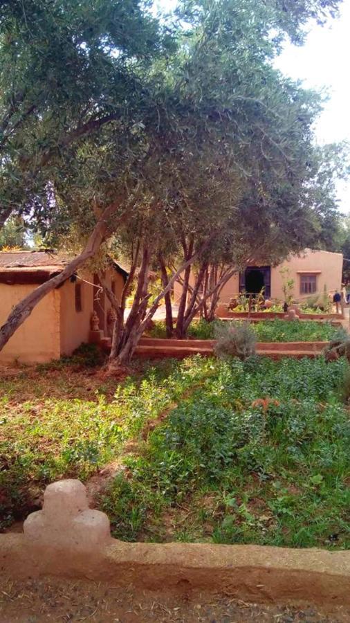 Eco-Ferme Tamalait Skoura Hotel Bagian luar foto