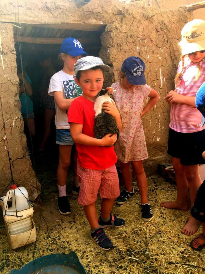Eco-Ferme Tamalait Skoura Hotel Bagian luar foto